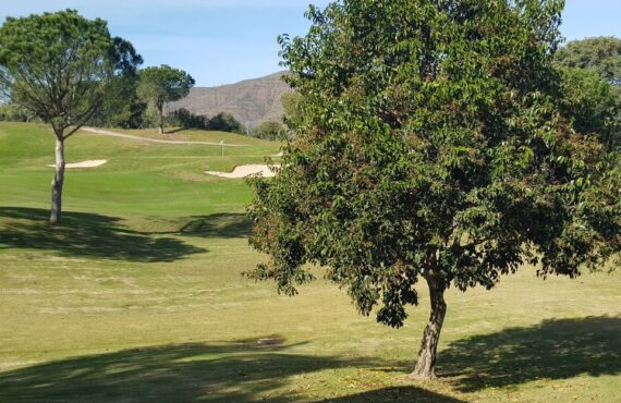 Chaparral Golf Club  - 69