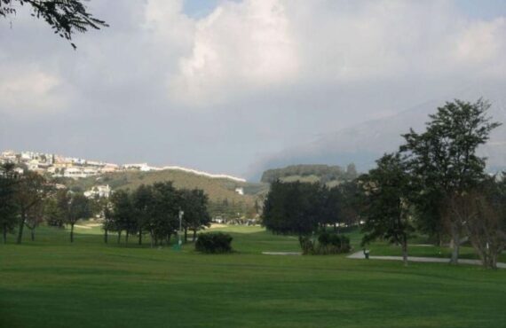 Mijas Golf Club  - 13